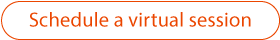 schedule virtual session