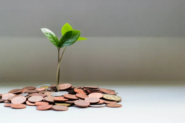 plant-growing-out-of-coins.jpg