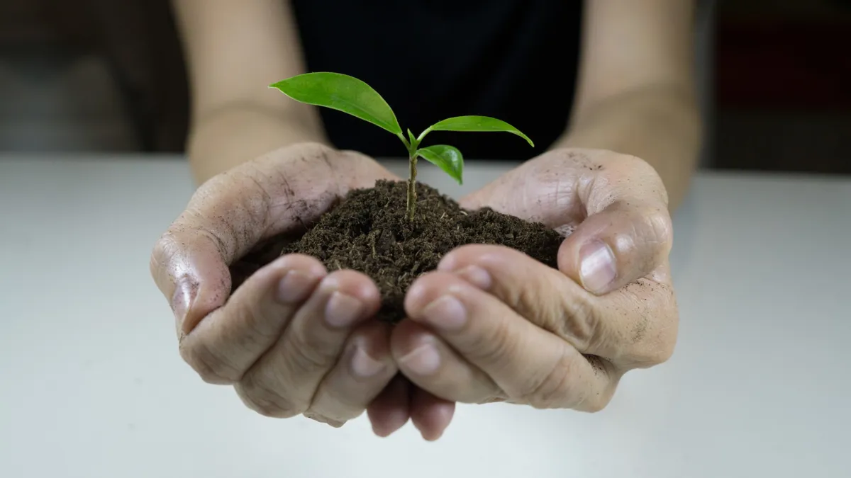 womans-hands-holding-a-plant-growing-out-of-the-ground-green-seedling-growing-from-soil-ecology-day_t20_jXV92z.jpg
