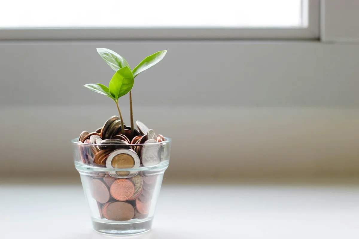 savings-grow-plant.jpg