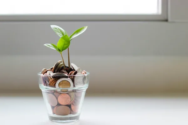 savings-grow-plant.jpg