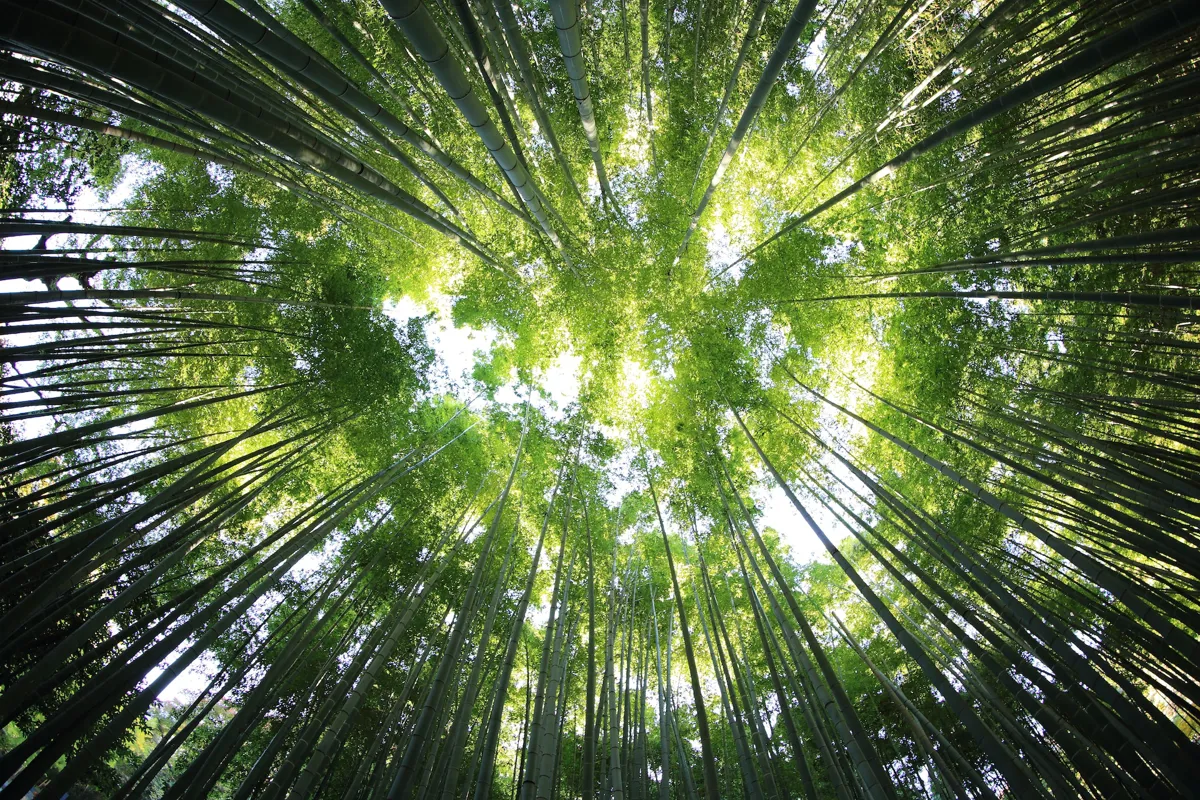 kazuend-19SC2oaVZW0-unsplash-1.jpg